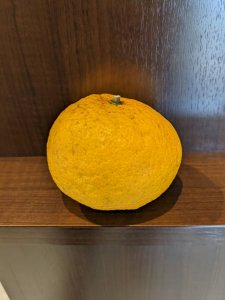 オレンジ？