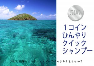 ワンコイン ひんやりクイックシャンプー